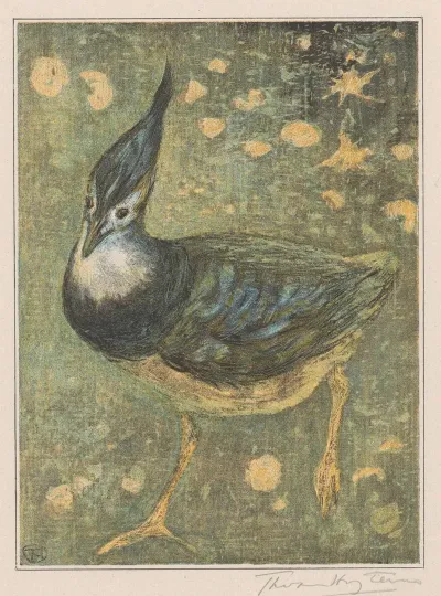Kievit