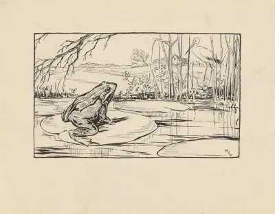 Kikker Op Een Waterlelie In Een Plas 2