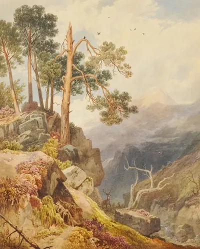 Killiecrankie Pass