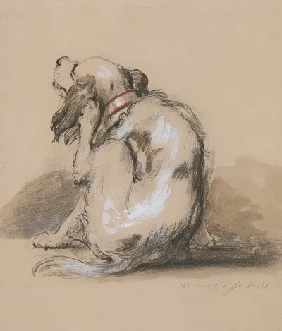 King Charles Spaniel