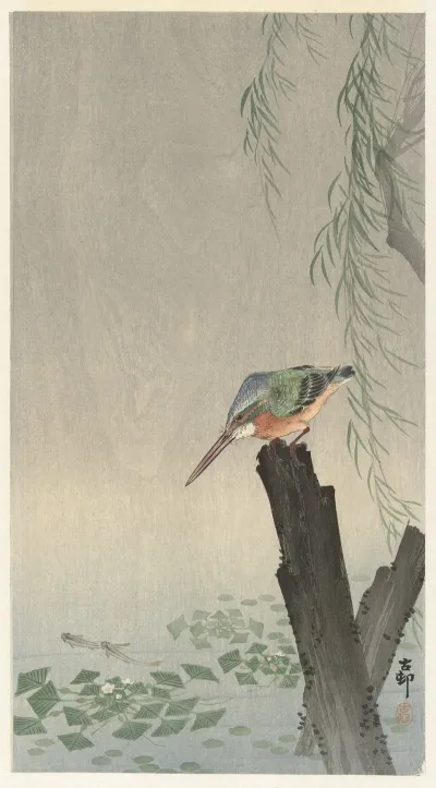 Kingfisher On Tree Stump