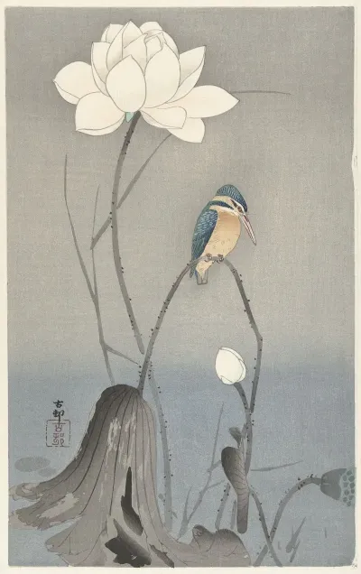 Kingfisher With Lotus Flower