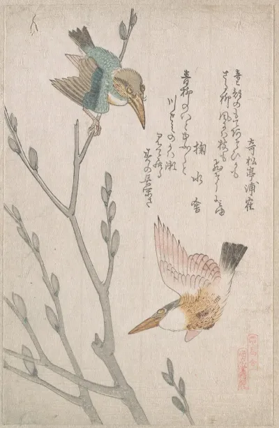 Kingfishers And Pussy Willow