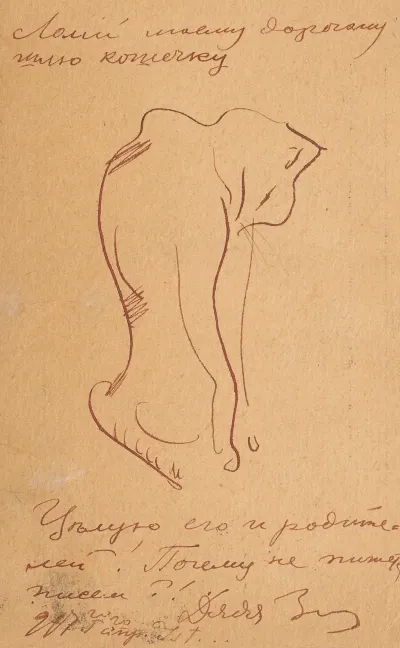 Kitten