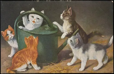 Kittens Playing With A Watering Can