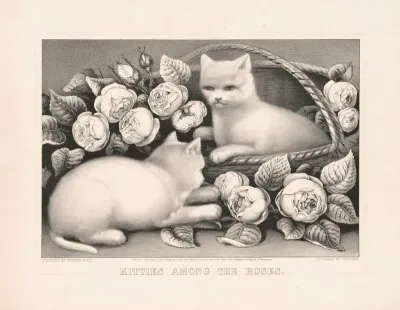 Kitties Among The Roses