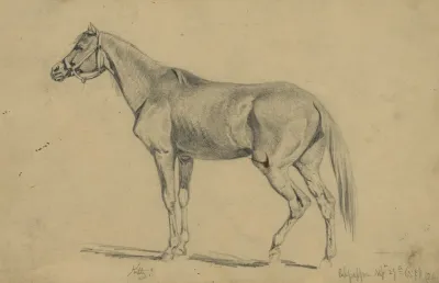 Kitty Edwin Forbes Mare That He Rode From 1862 1865