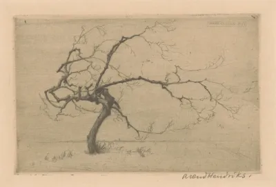 Klein Boompje