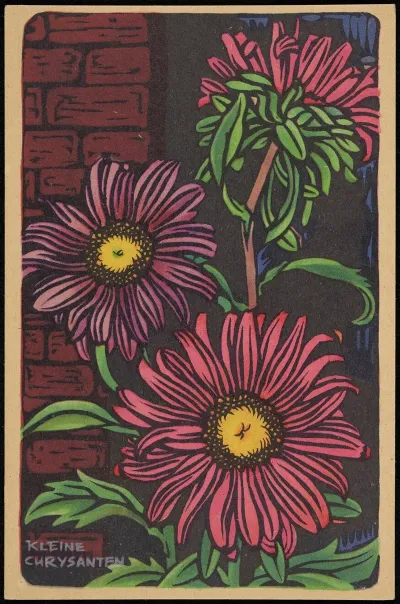Kleine Chrysantem