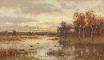 Kleine Moorlandschaft In Der Dammerung