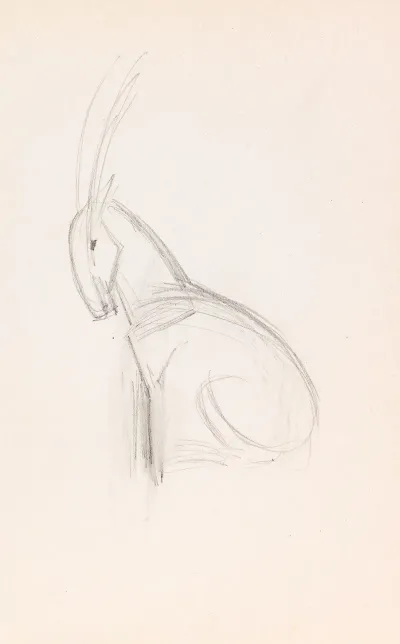 Kleiner Steinbock