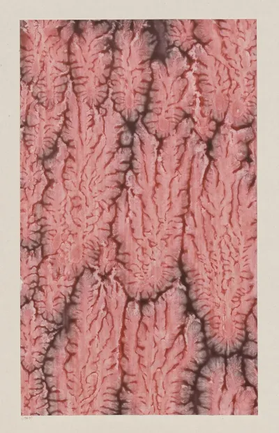 Kleisterpapier 17
