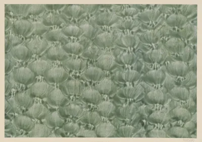 Kleisterpapier Mit Pinseldekor 6