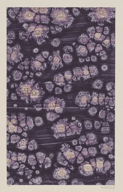 Kleisterpapier Mit Sonnenmarmormotiven 2