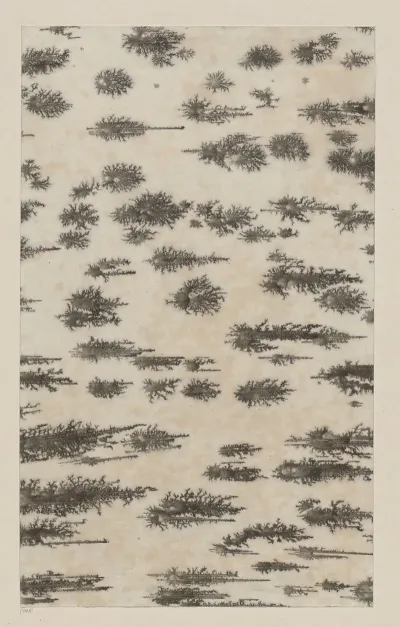 Kleisterpapier Mit Sprenkeln