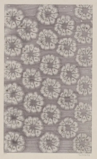 Kleisterpapier Mit Stilisierten Bluten 2