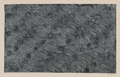 Kleisterpapier Mit Verdrangungsdekor 10