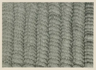 Kleisterpapier Streifenbander 5