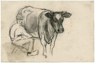 Koe Wordt Gemolken Door Boer