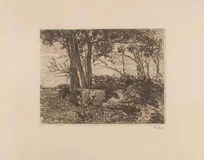 Koeien Onder Bomen