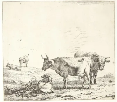 Koen Tyren Og Kalven
