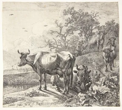 Kohyrden 2