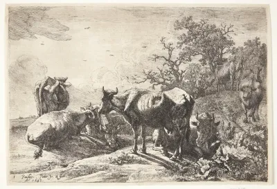 Kohyrden