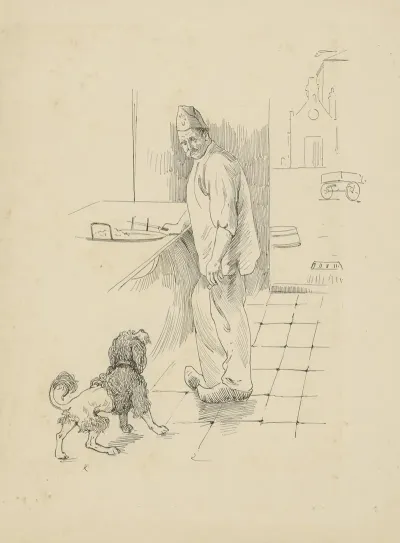 Kok Kijkend Naar Een Hond