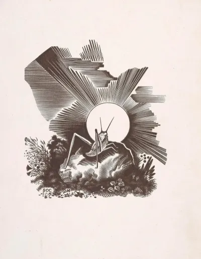 Konik Polny Ilustracja Do Song Of The Little Indian Mais