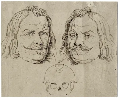 Kop V Michiel De Ruyter Beeld Spiegelbeeld En Schedel