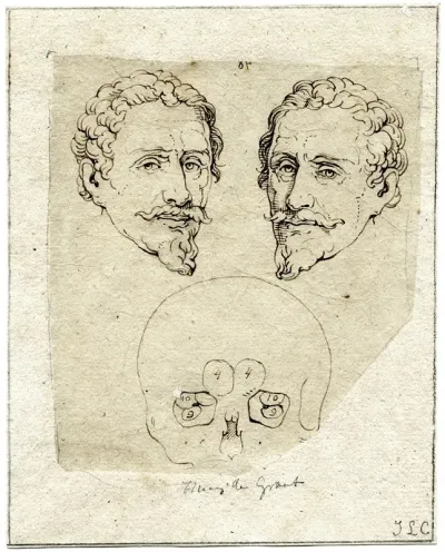 Kop Van Hugo De Groot Beeld Spiegelbeeld En Schedel