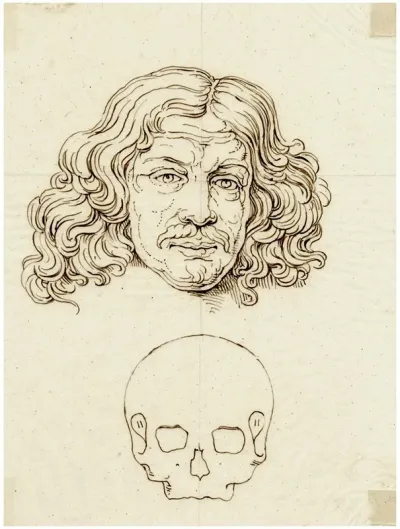 Kop Van Jacob Van Kampen En Face Met Schedelomtrek