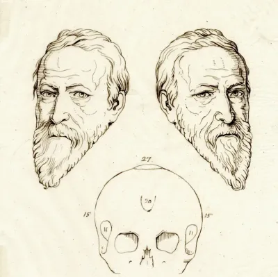 Kop Van Oldenbarnevelt Beeld Spiegelbeeld En Schedel