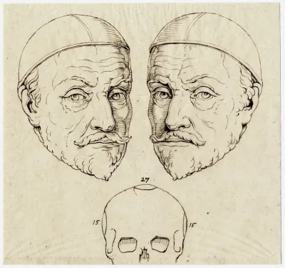 Kop Van Willem Van Oranje Beeld Spiegelbeeld Schedel