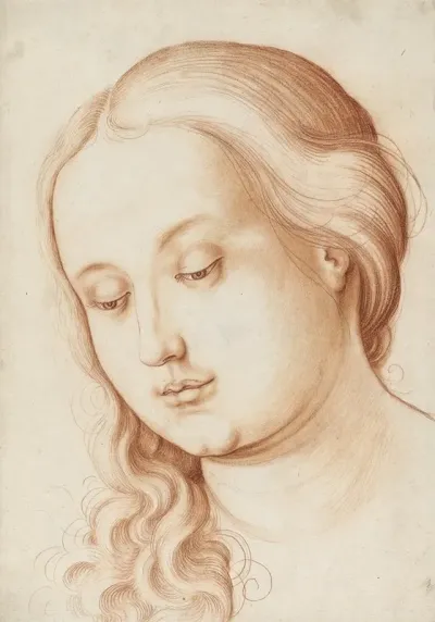 Kopf Einer Jungen Frau Mit Gesenktem Blick