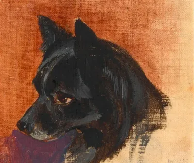 Kopf Eines Kleinen Schwarzen Hundes