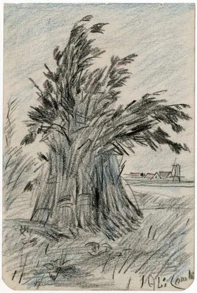 Korenschoof Op Het Veld
