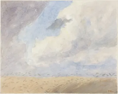 Korenveld