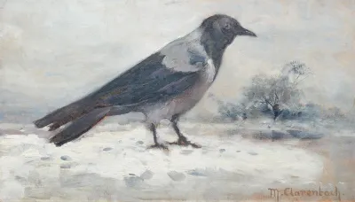 Krahe In Winterlicher Landschaft