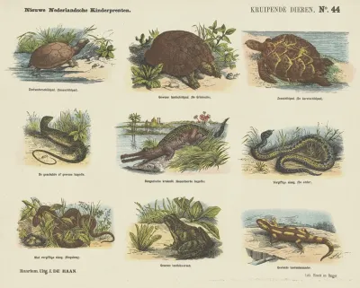 Kruipende Dieren