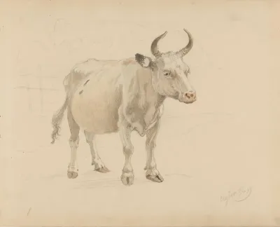 Ku Med Horn