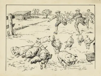 Kudde Varkens Met Sokken En Schoenen In De Bek