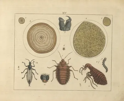 Kupfer Sammlung Besonders Zu Funke Naturgeschichte Und Technologie Pl 14