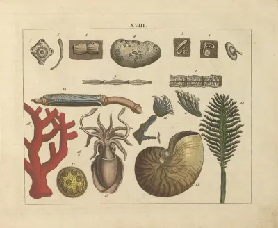 Kupfer Sammlung Besonders Zu Funke Naturgeschichte Und Technologie Pl 17