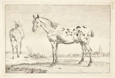 Kupperet Hest