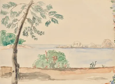 Kuste In Florida