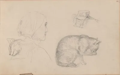 Kvinnefigur Katter Kvinnesal