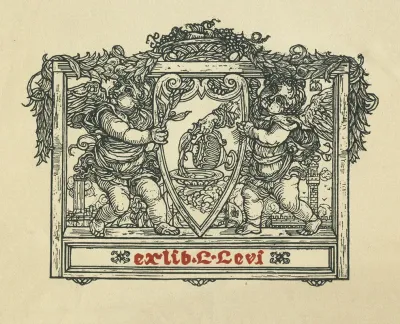 L Levi