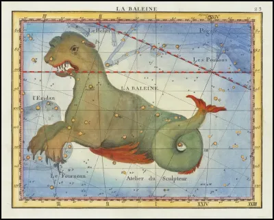 La Baleine Cetus