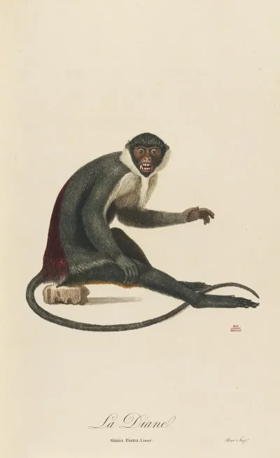 La Diane